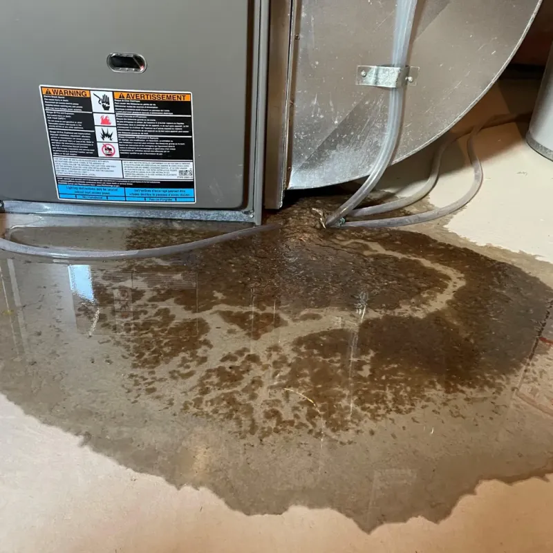 Appliance Leak Cleanup in Sneads, FL