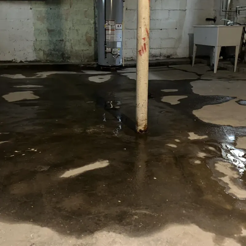 Emergency Water Extraction And Removal in Sneads, FL